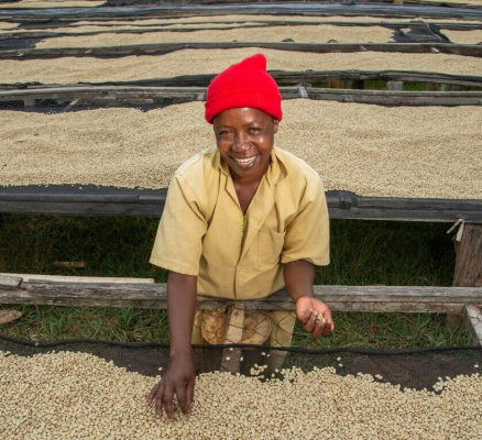 Größere Teilhabe für Frauen in der Kaffeeproduktion